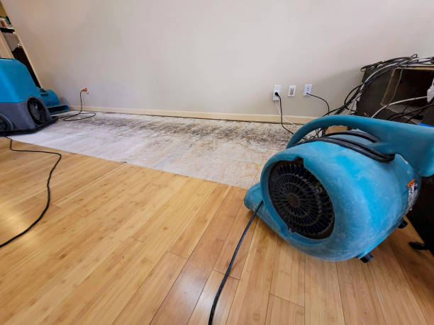 Professional Water Damage Repair technician working in Millfield, OH